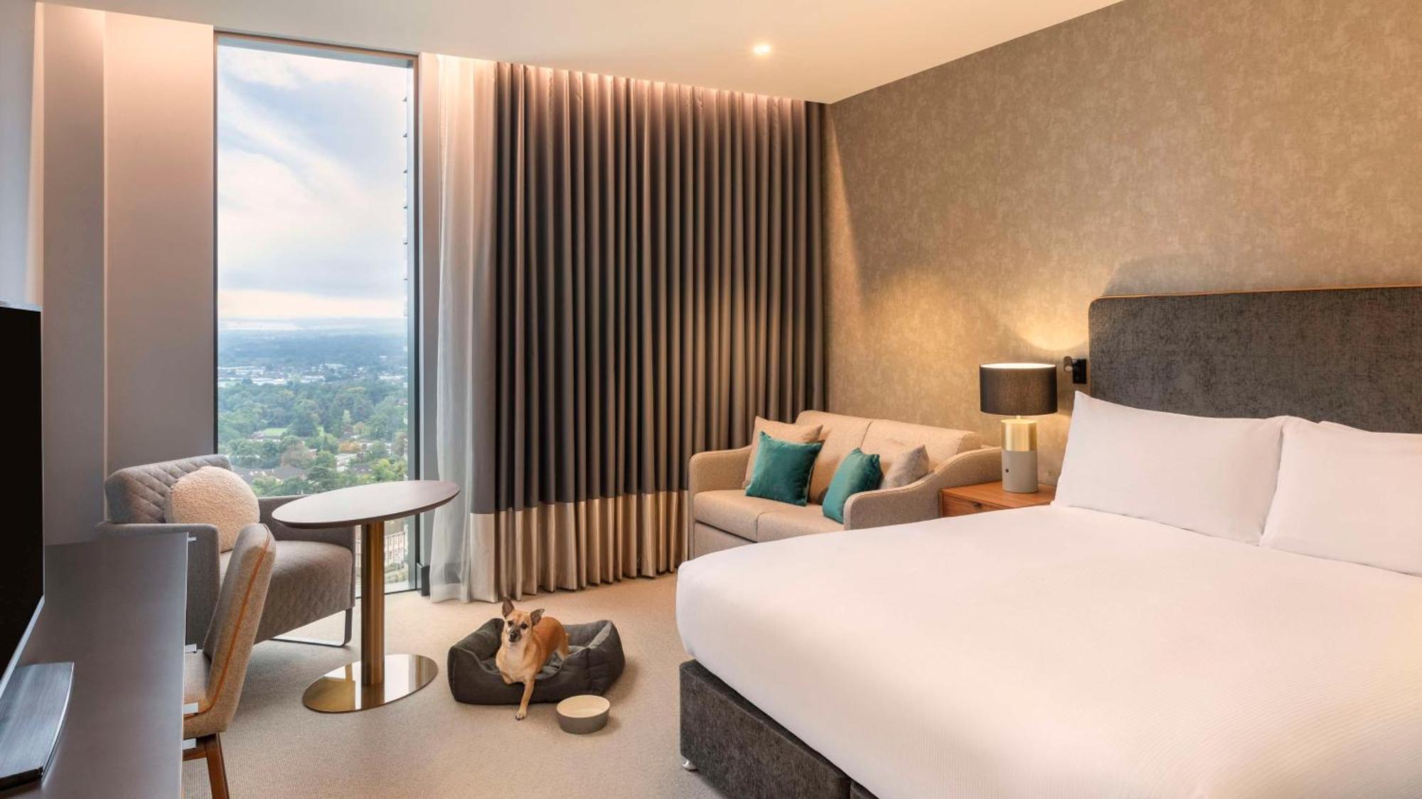 Hilton Woking酒店 外观 照片